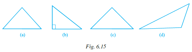 Page 164 Chapter 6 Class 7th NCERT Exemplar